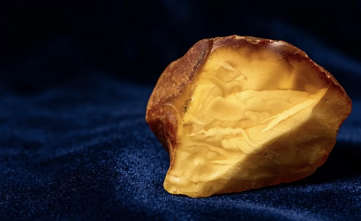 Roher baltischer Bernstein-Brocken — frisch aufgebrochen, honiggelber Kern unter verwitterter Kruste auf tiefblauem Velvet.