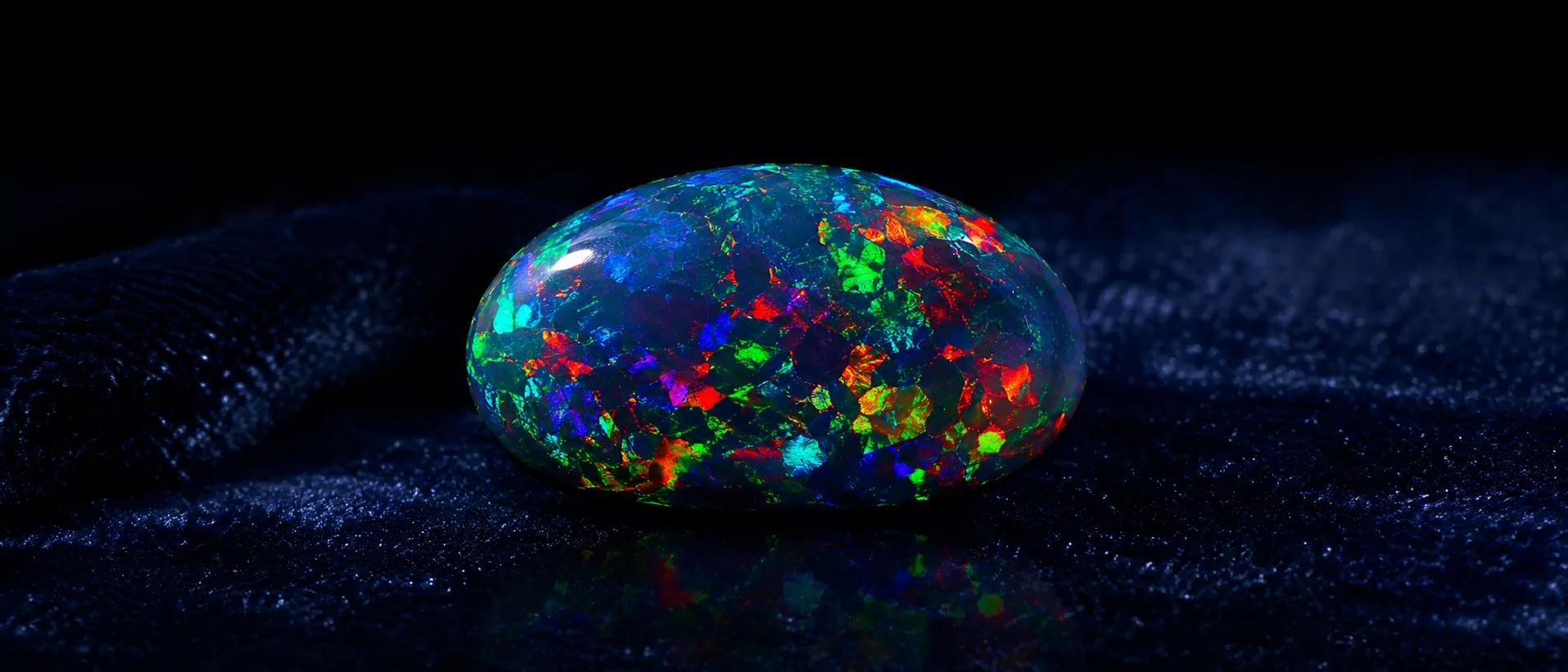 Schwarzer Opal-Cabochon aus Lightning Ridge mit explosiver Harlequin play-of-color auf tiefblauem Velvet.