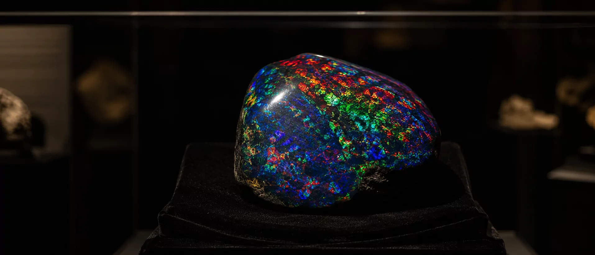 Großer Premium-Schwarz-Opal-Showstein in Museums-Vitrine auf Schwarz-Velvet-Montur — massive Freeform-poliert mit außergewöhnlicher play-of-color über die gesamte Oberfläche, Königs-Blau, Smaragd-Grün und Rubin-Rot, Smithsonian-meets-South-Australian-Museum-Ästhetik.