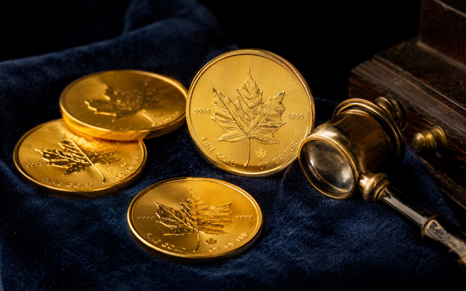 Kanadische Maple-Leaf-Goldmünzen mit Ahornblatt auf blauem Samt mit Lupe
