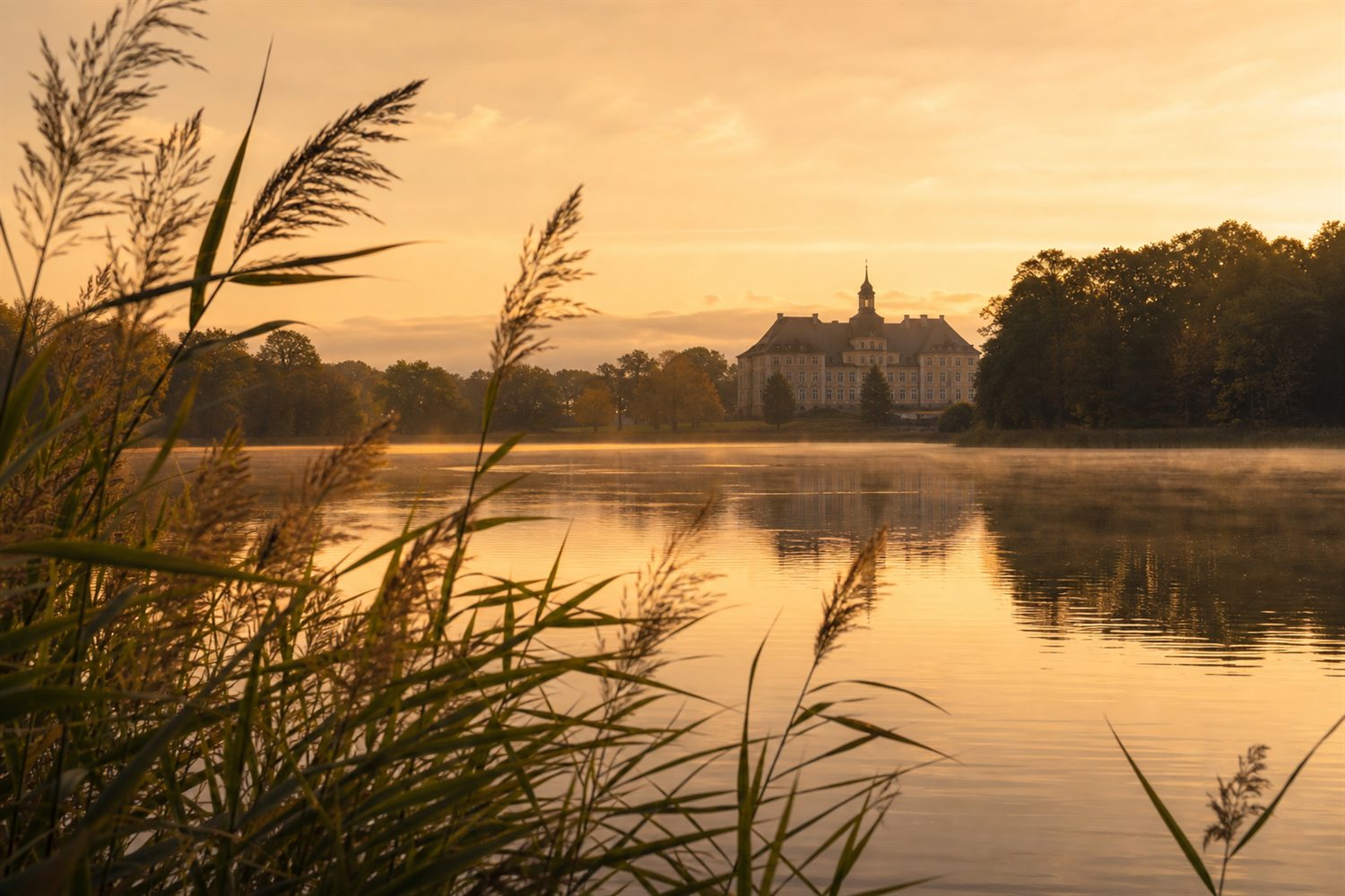 M&auml;rkisches Gutshaus mit alter Allee im Land Brandenburg bei Morgenlicht &ndash; Silberankauf Region Brandenburg